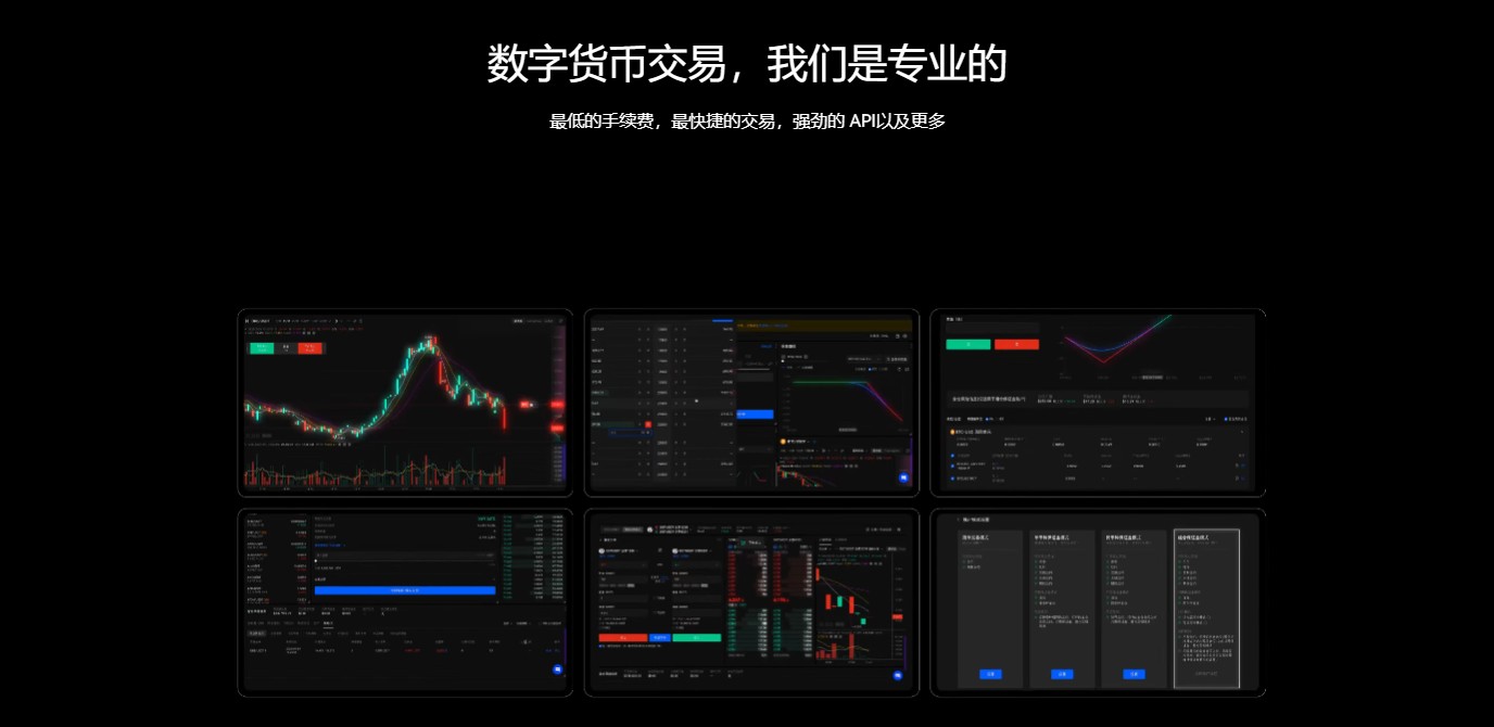 OK币突然暴涨？最新行情分析与避坑指南